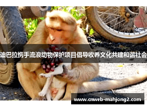 迪巴拉携手流浪动物保护项目倡导收养文化共建和谐社会