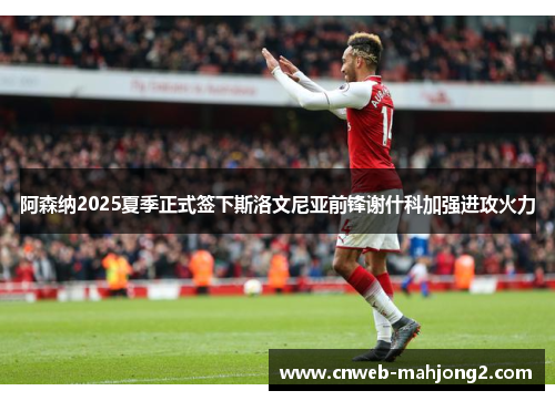 阿森纳2025夏季正式签下斯洛文尼亚前锋谢什科加强进攻火力
